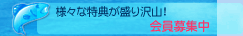�����W��