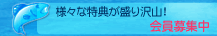 �����W��