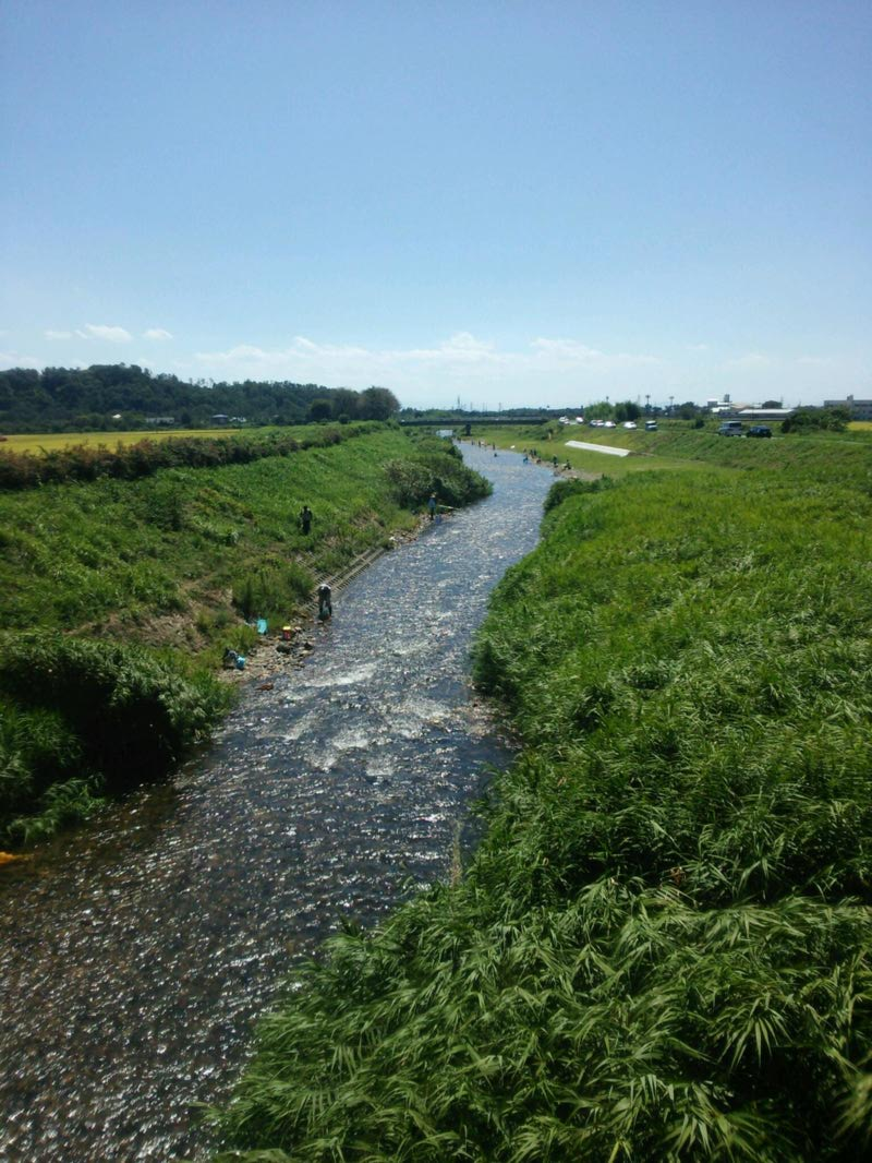 琵琶湖小鮎最終日