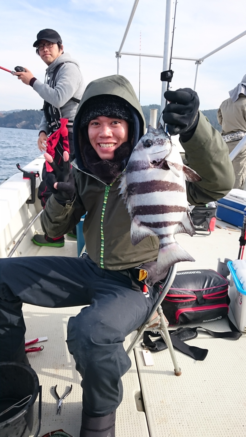 沼島サンバソウ