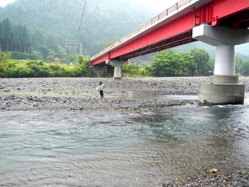 滋賀県 安曇川・朽木の鮎友釣り