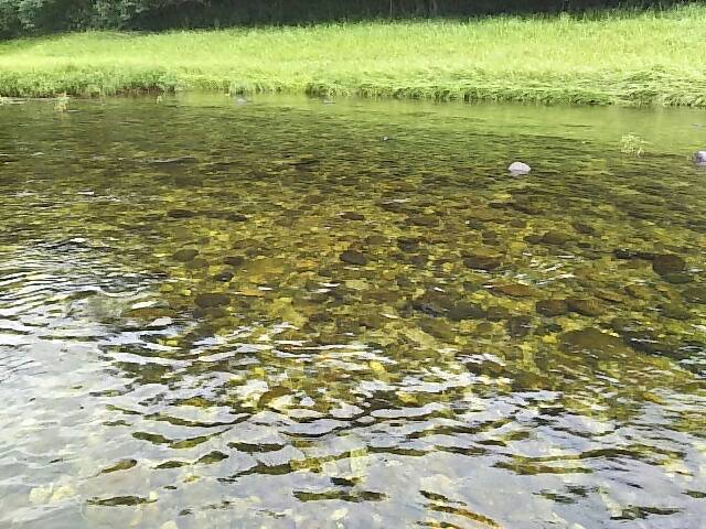 雨の中の名張川
