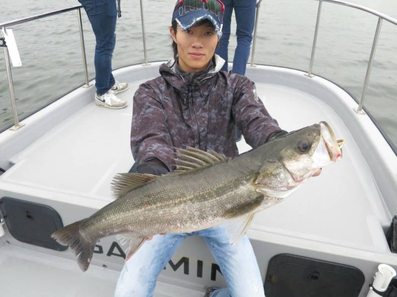 大阪湾ボートシーバス釣行