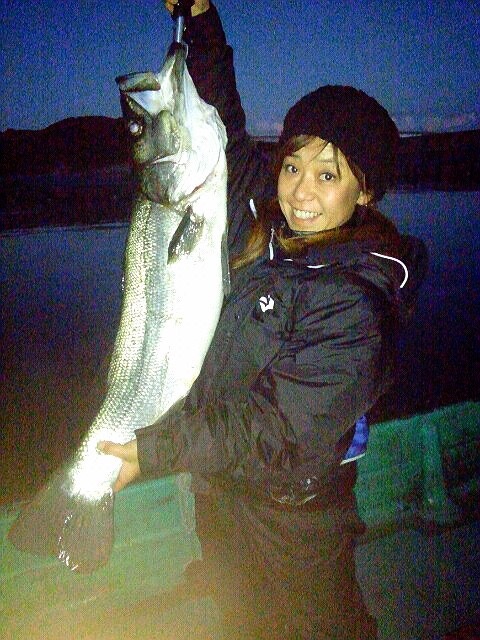 恒例♪串本かせ釣り