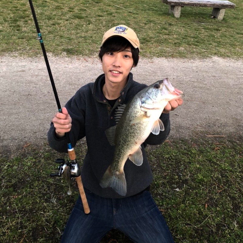 琵琶湖 人工島 バス釣り