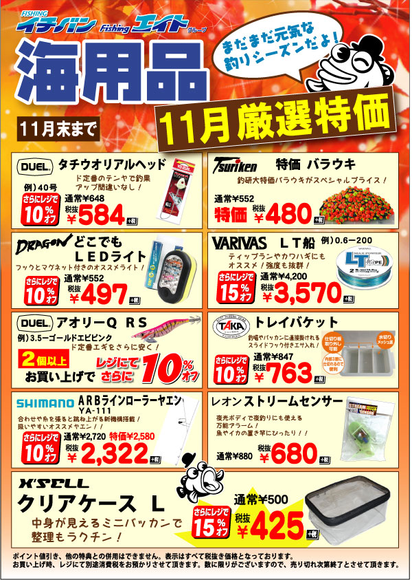 11月厳選特価 海用品