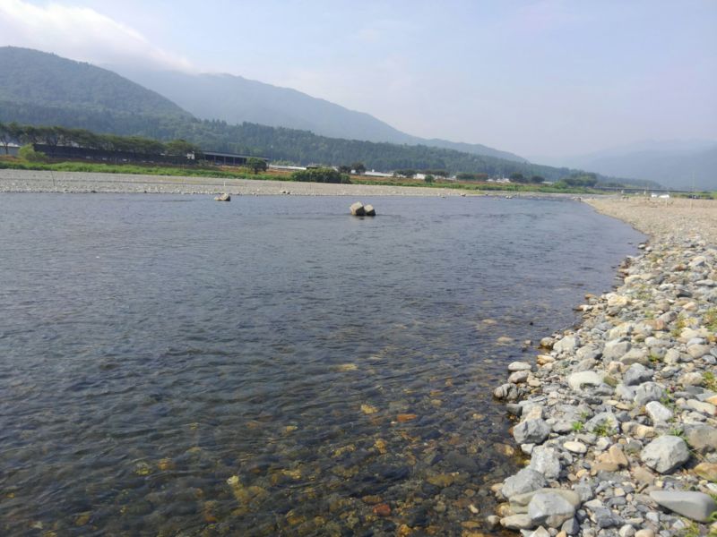 梅雨の合間の鮎釣行