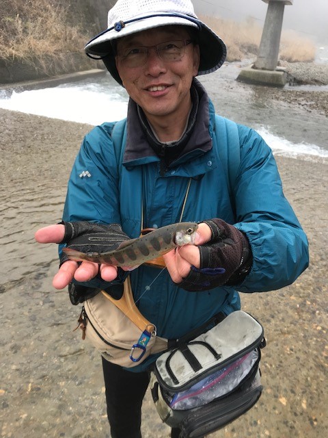 美山川のアマゴ