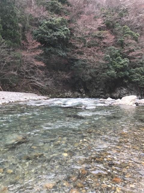 渓流 釣り 京都