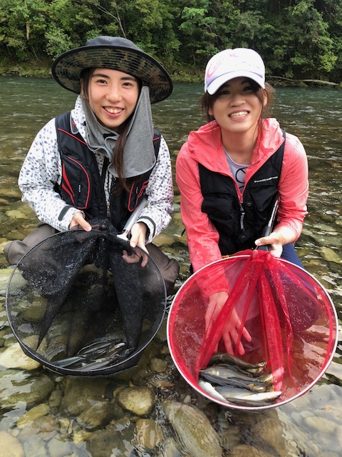 古座川で鮎釣行!