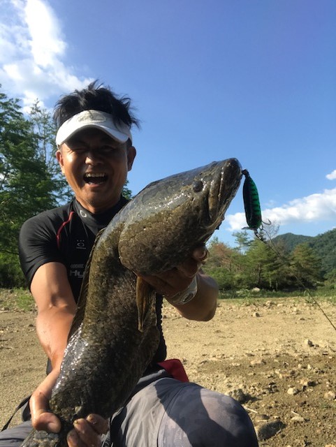 青野ダムの嬉しい一尾