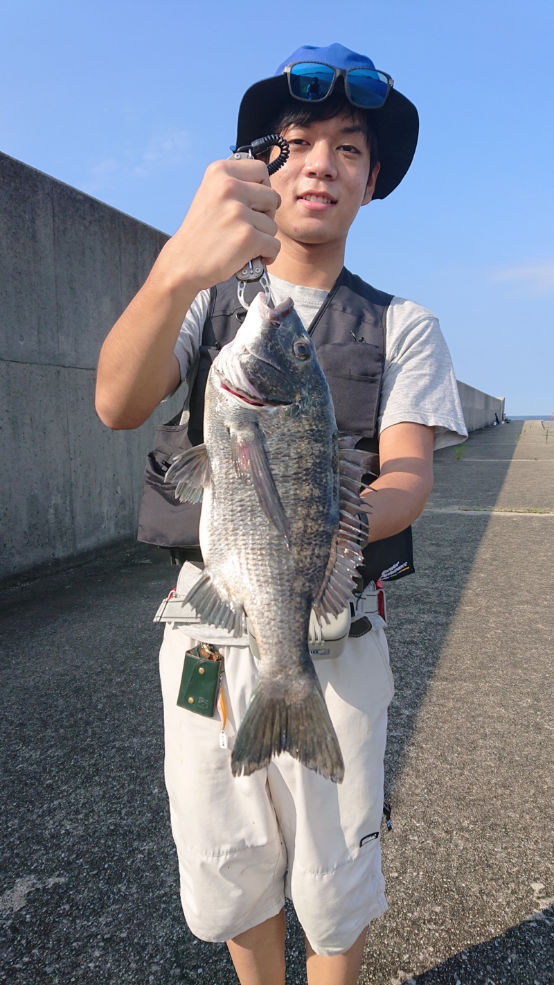 イガイでチヌ