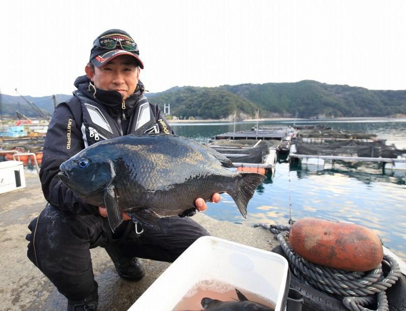 紀東 錦の寒グレ釣行