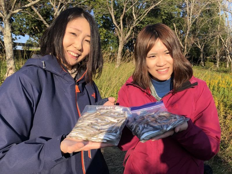 青野ダムでワカサギに挑戦!