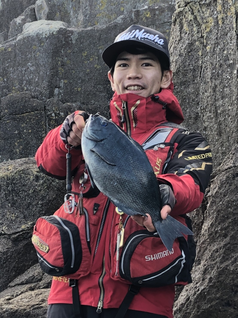 尾鷲でグレ釣り