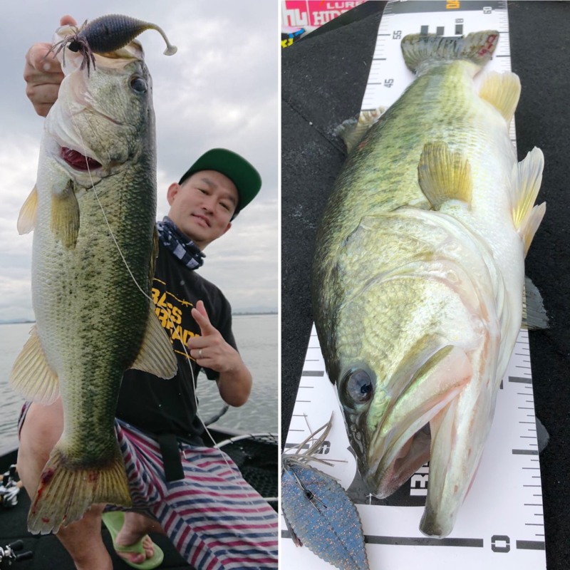 初夏の激シブ琵琶湖釣行記