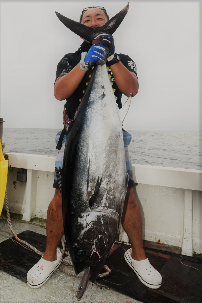 津軽海峡クロマグロキャスティング