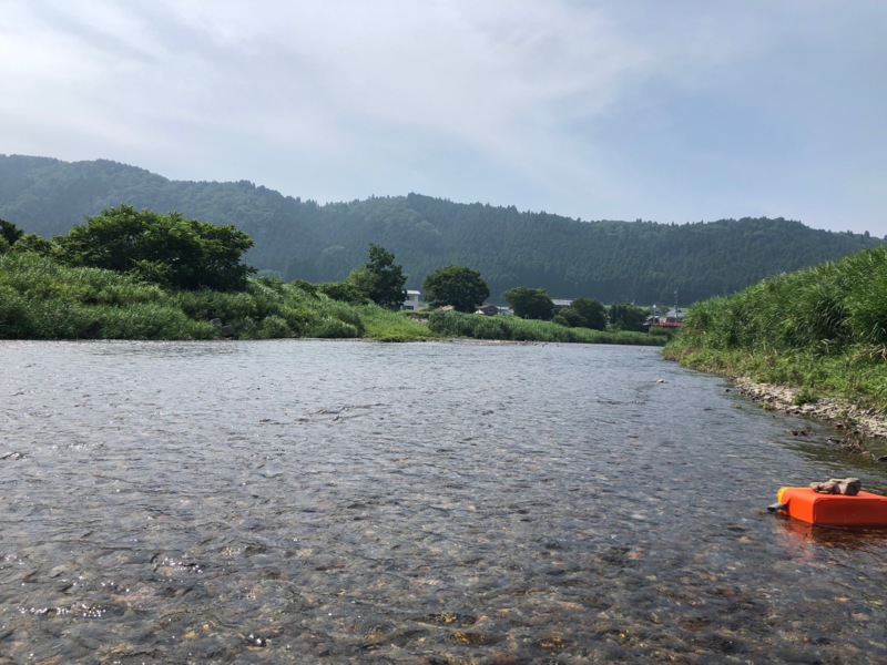 安曇川ライトスタイル友釣り釣行