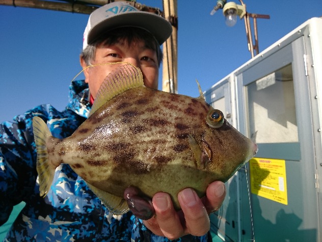 カワハギ地獄 白崎編