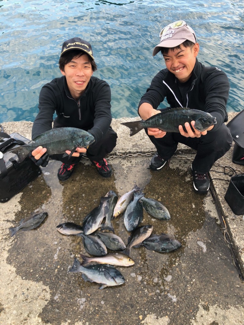 リベンジのグレ釣り