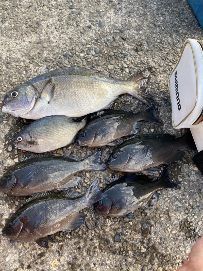 和歌山での磯釣り