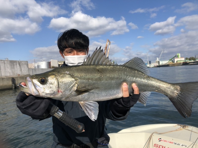 師走の大阪湾ボートシーバス!