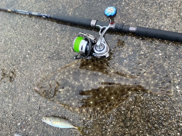 淡路島 飲ませ釣り!