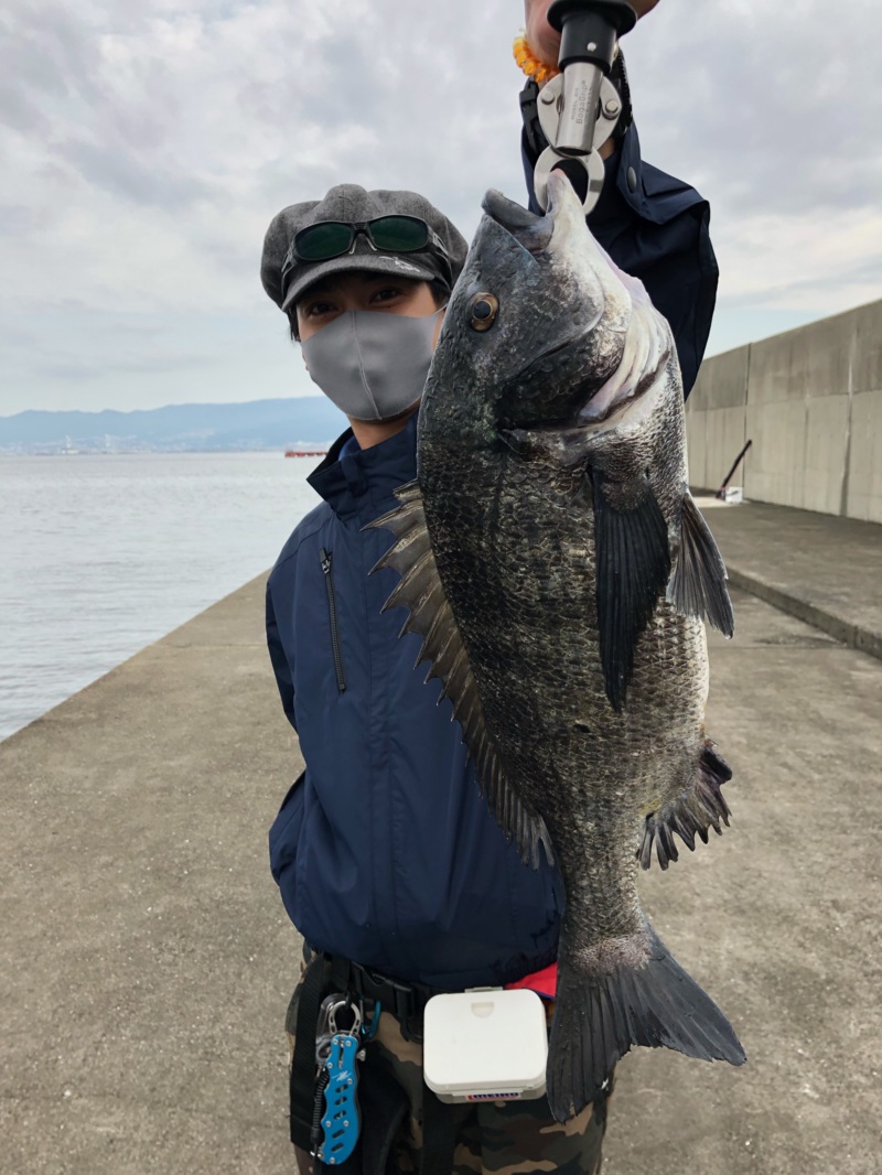 チヌ落とし込み&ヘチ釣行