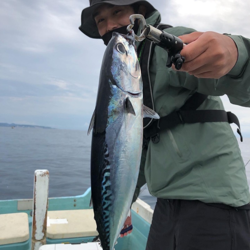 和歌山 カセ釣り 釣果情報