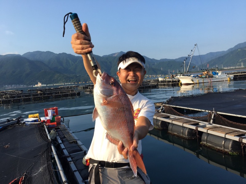 尾鷲市天満浦のかかり釣り