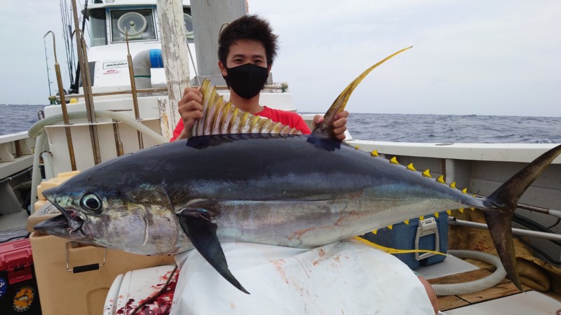 夏の風物詩!キハダマグロ!