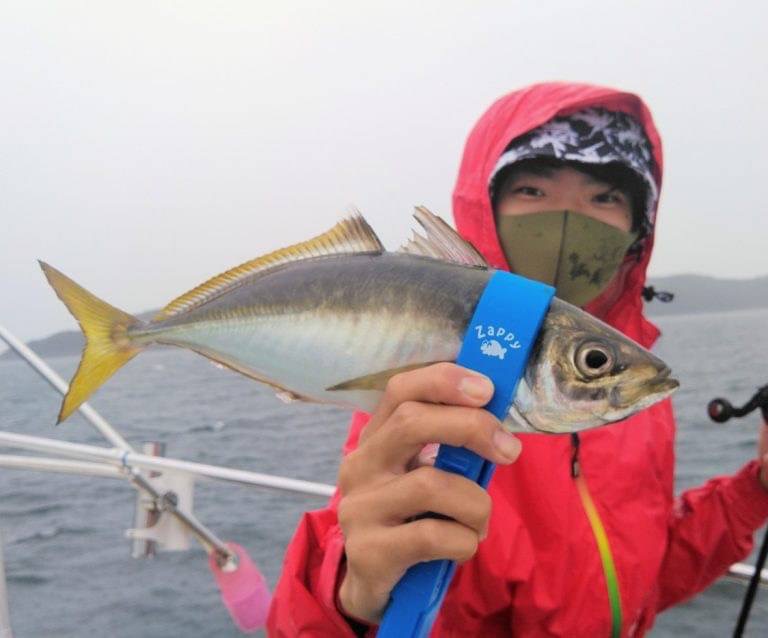 紀北 デイバチ