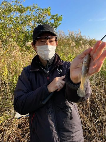 紀ノ川のハゼ釣り