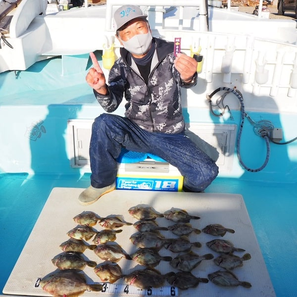 徳島阿南カワハギ今シーズンも好調です!