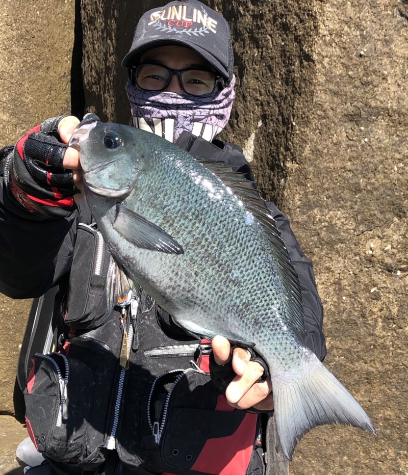 三重県梶賀 磯フカセ釣行