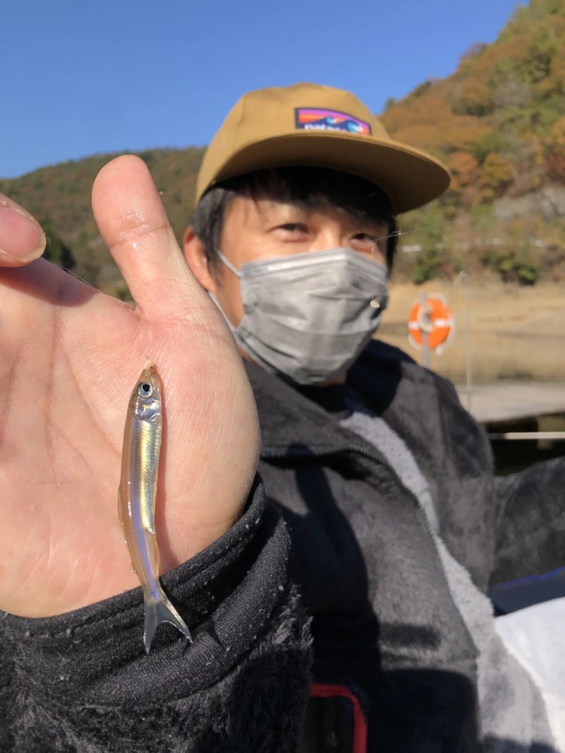 兵庫県佐仲ダムワカサギ