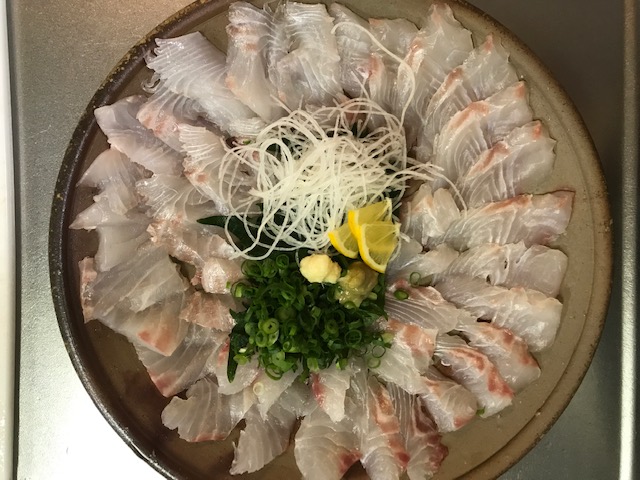 カゴ釣りが熱い!