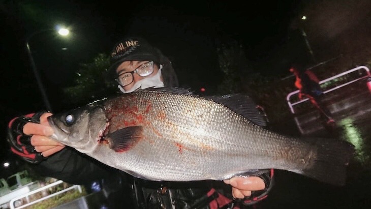 知夫里磯フカセ釣行