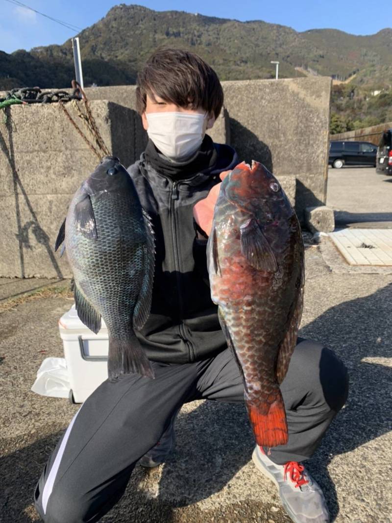 尾鷲・磯 ー寒グレ釣りー