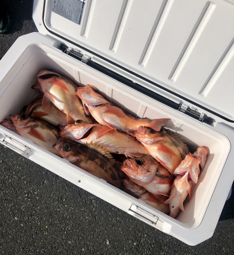浦島 沖メバル釣行