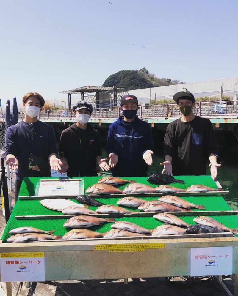 海上釣堀 雑賀崎シーパーク