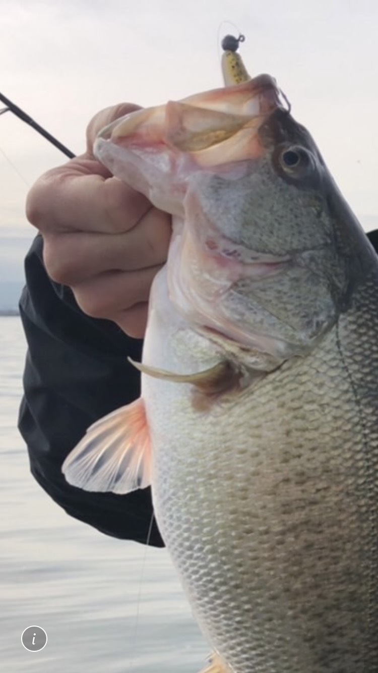 琵琶湖バスボート釣行!!!