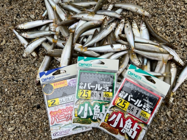 琵琶湖小鮎3