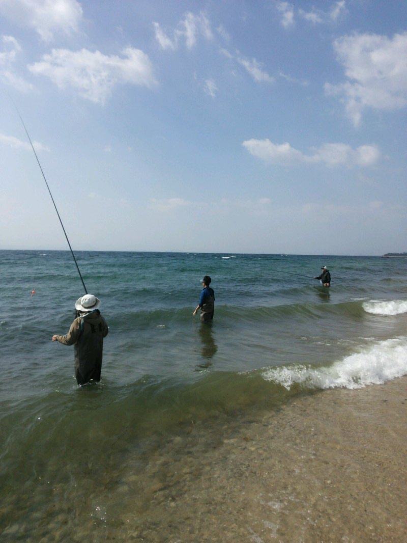 びわ湖小鮎第5戦