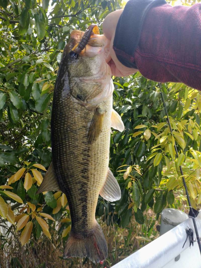 讃岐バスツアー