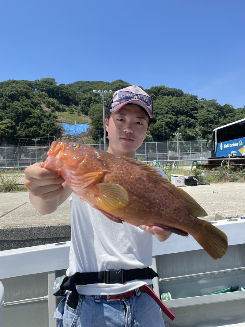 淡路島落し込み釣り