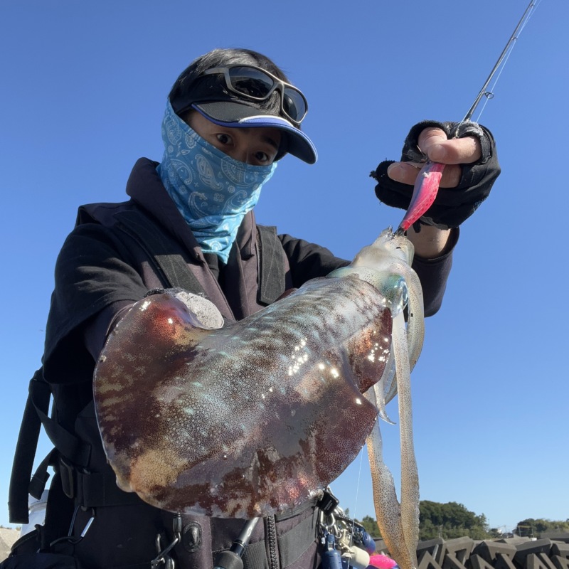 10月満月大潮エギング日和①〜ぼちぼちのデイ編〜