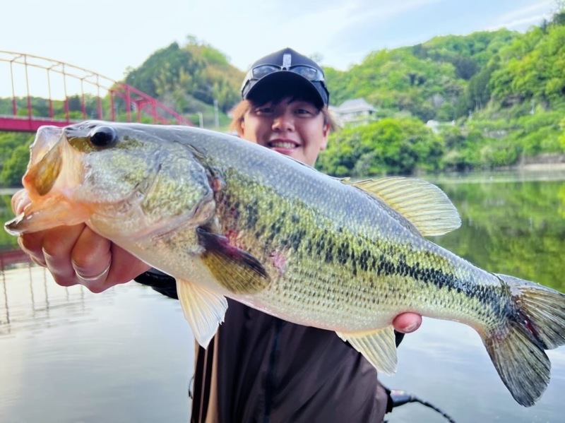 今高山ダムが熱い!