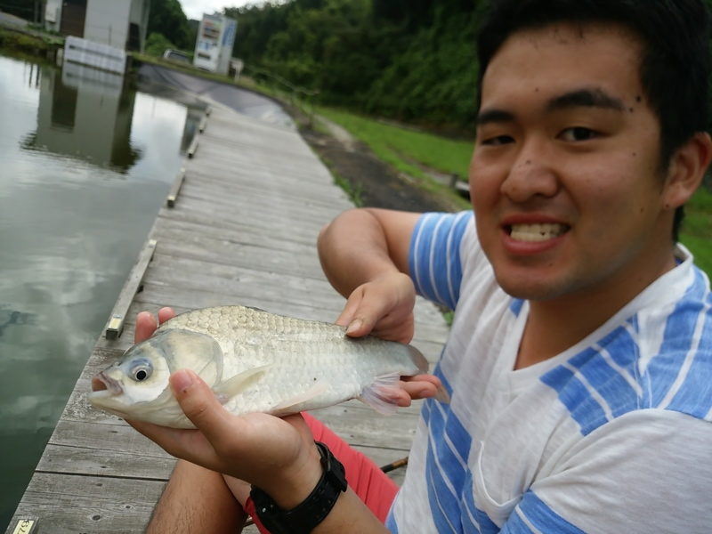 夏のヘラブナ釣り!甲南へらの池