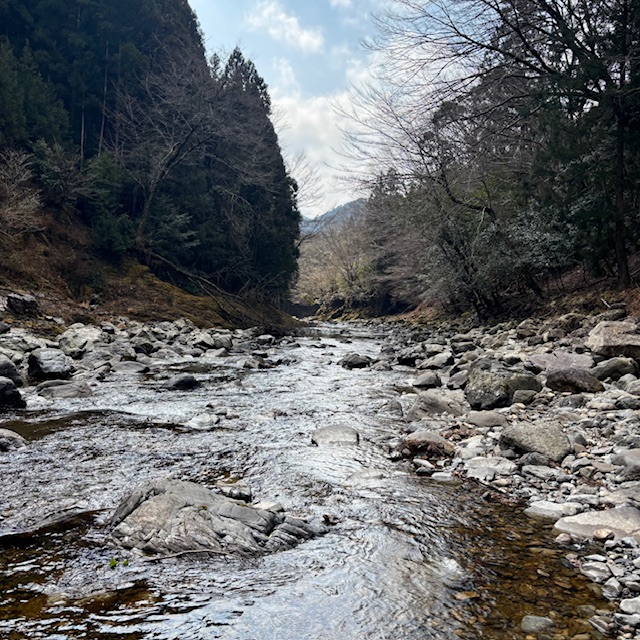 渓流解禁